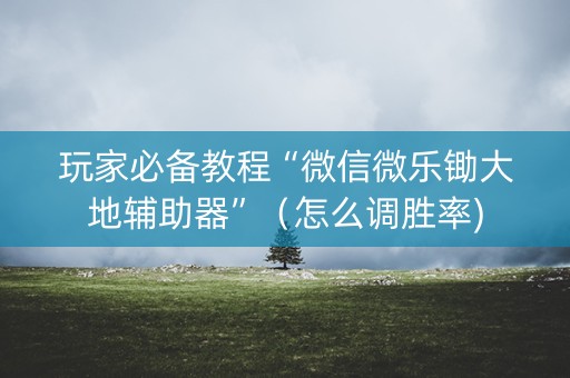 玩家必备教程“微信微乐锄大地辅助器”（怎么调胜率)