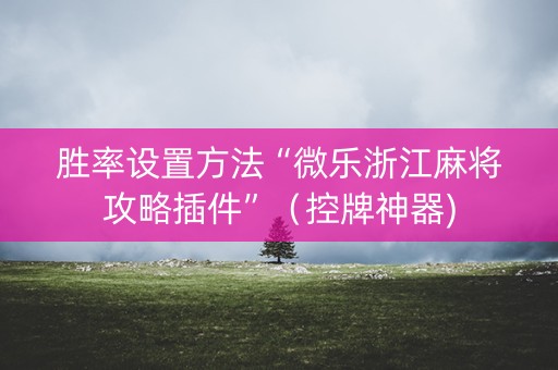 胜率设置方法“微乐浙江麻将攻略插件”（控牌神器)