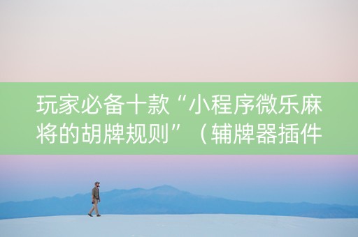玩家必备十款“小程序微乐麻将的胡牌规则”（辅牌器插件购买)