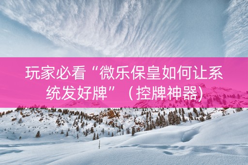 玩家必看“微乐保皇如何让系统发好牌”（控牌神器)