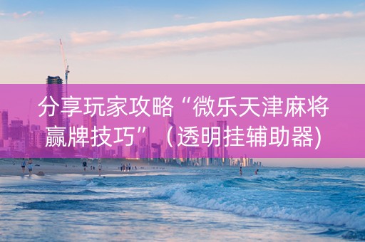 分享玩家攻略“微乐天津麻将赢牌技巧”（透明挂辅助器)