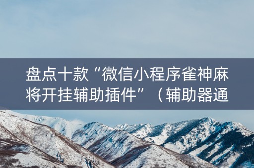 盘点十款“微信小程序雀神麻将开挂辅助插件”（辅助器通用版)