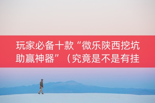玩家必备十款“微乐陕西挖坑助赢神器”（究竟是不是有挂)