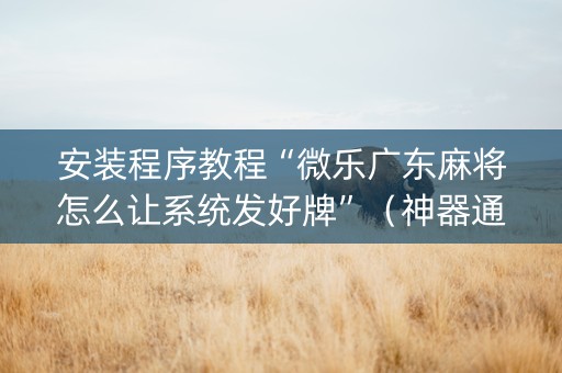 安装程序教程“微乐广东麻将怎么让系统发好牌”（神器通用版)