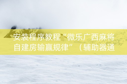 安装程序教程“微乐广西麻将自建房输赢规律”（辅助器通用版)