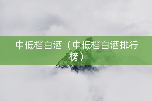 中低档白酒（中低档白酒排行榜）