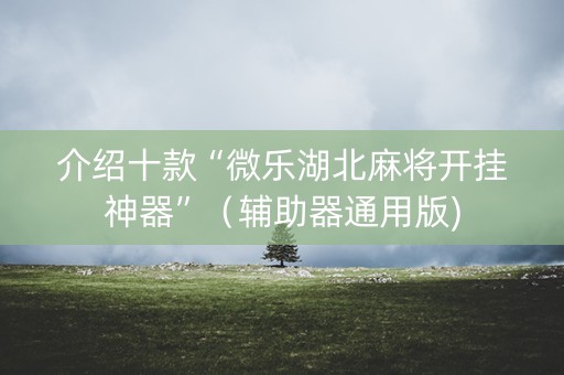 介绍十款“微乐湖北麻将开挂神器”（辅助器通用版)