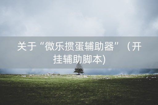 关于“微乐掼蛋辅助器”（开挂辅助脚本)