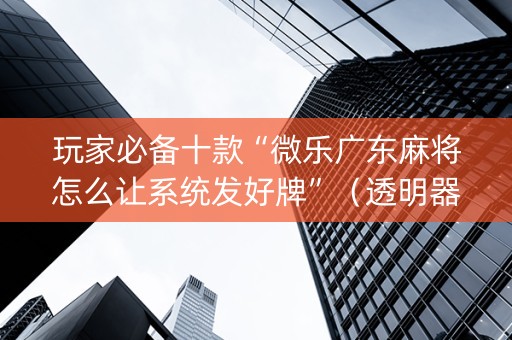 玩家必备十款“微乐广东麻将怎么让系统发好牌”（透明器教程)