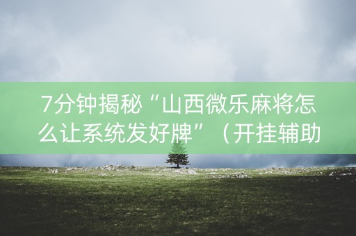7分钟揭秘“山西微乐麻将怎么让系统发好牌”（开挂辅助脚本)
