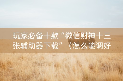 玩家必备十款“微信财神十三张辅助器下载”（怎么能调好牌)