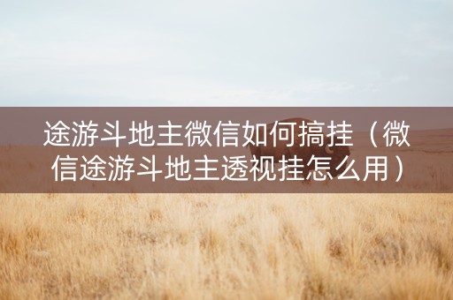 途游斗地主微信如何搞挂（微信途游斗地主透视挂怎么用）