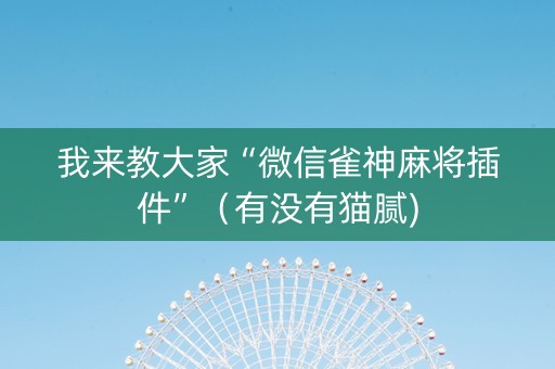我来教大家“微信雀神麻将插件”（有没有猫腻)