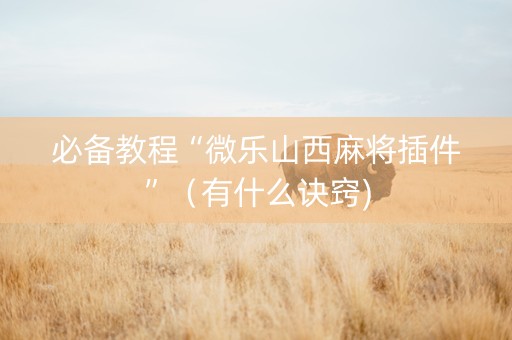 必备教程“微乐山西麻将插件”（有什么诀窍)