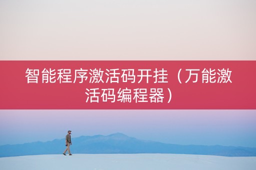 智能程序激活码开挂（万能激活码编程器）