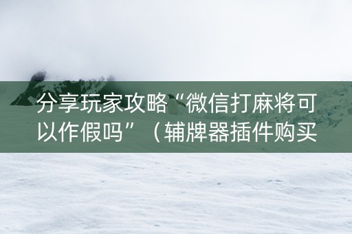 分享玩家攻略“微信打麻将可以作假吗”（辅牌器插件购买)