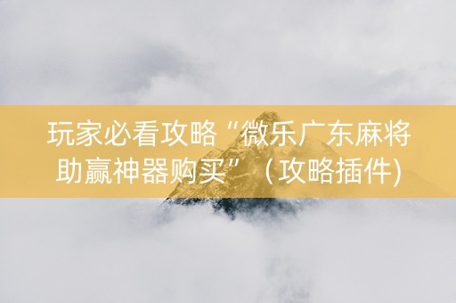 玩家必看攻略“微乐广东麻将助赢神器购买”（攻略插件)
