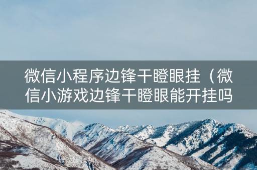 微信小程序边锋干瞪眼挂（微信小游戏边锋干瞪眼能开挂吗）