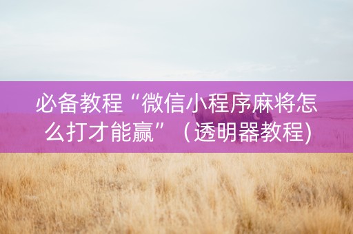 必备教程“微信小程序麻将怎么打才能赢”（透明器教程)