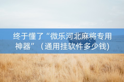 终于懂了“微乐河北麻将专用神器”（通用挂软件多少钱)