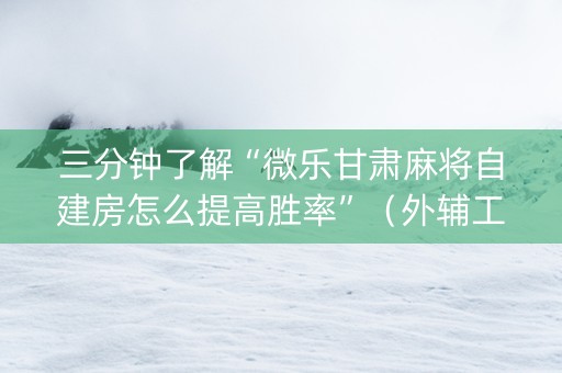 三分钟了解“微乐甘肃麻将自建房怎么提高胜率”（外辅工具)