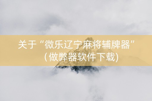 关于“微乐辽宁麻将辅牌器”（做弊器软件下载)