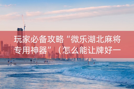 玩家必备攻略“微乐湖北麻将专用神器”（怎么能让牌好一点)