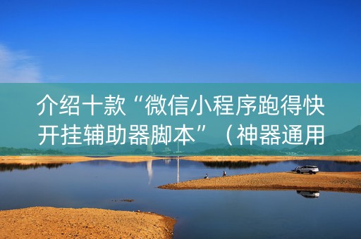 介绍十款“微信小程序跑得快开挂辅助器脚本”（神器通用版)