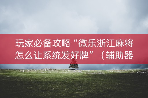 玩家必备攻略“微乐浙江麻将怎么让系统发好牌”（辅助器下载)