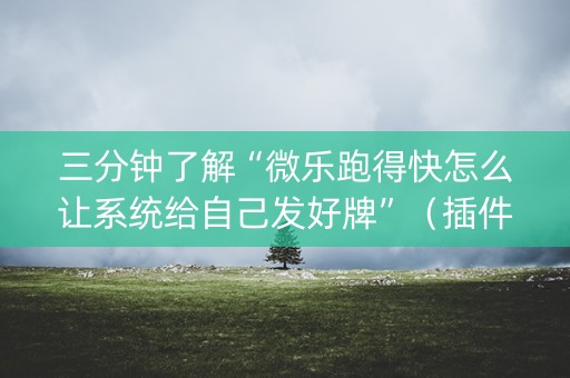 三分钟了解“微乐跑得快怎么让系统给自己发好牌”（插件开挂免费AI)