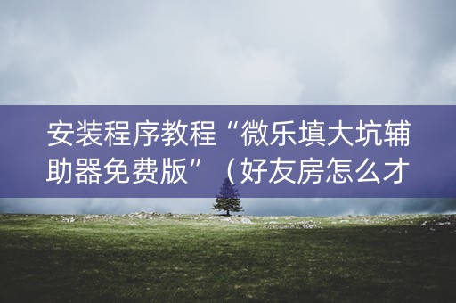 安装程序教程“微乐填大坑辅助器免费版”（好友房怎么才能赢)