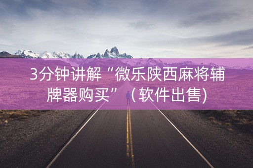 3分钟讲解“微乐陕西麻将辅牌器购买”（软件出售)