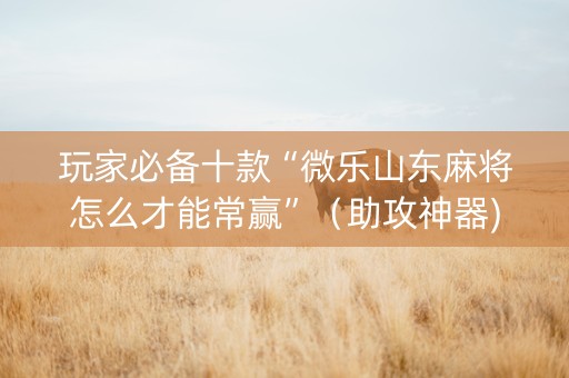 玩家必备十款“微乐山东麻将怎么才能常赢”（助攻神器)
