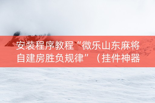 安装程序教程“微乐山东麻将自建房胜负规律”（挂件神器)