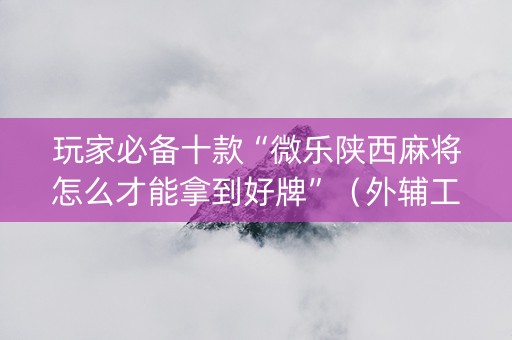 玩家必备十款“微乐陕西麻将怎么才能拿到好牌”（外辅工具)