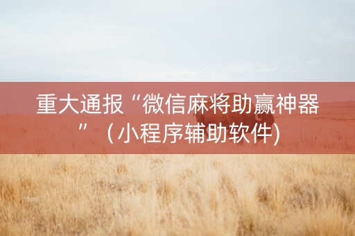 重大通报“微信麻将助赢神器”（小程序辅助软件)
