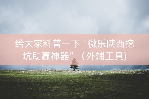 给大家科普一下“微乐陕西挖坑助赢神器”（外辅工具)