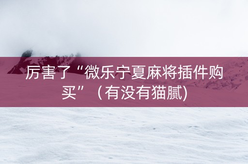 厉害了“微乐宁夏麻将插件购买”（有没有猫腻)