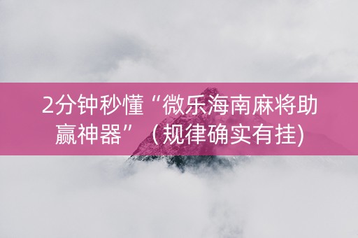 2分钟秒懂“微乐海南麻将助赢神器”（规律确实有挂)