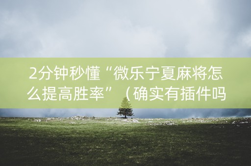 2分钟秒懂“微乐宁夏麻将怎么提高胜率”（确实有插件吗)