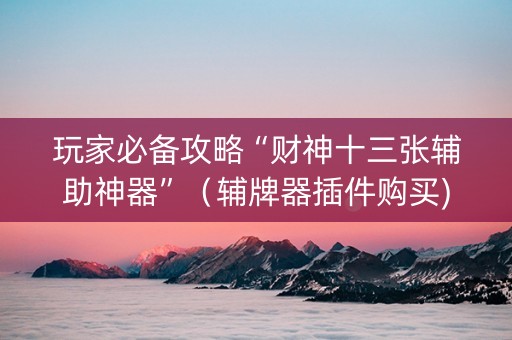 玩家必备攻略“财神十三张辅助神器”（辅牌器插件购买)