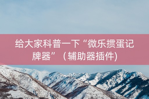给大家科普一下“微乐掼蛋记牌器”（辅助器插件)