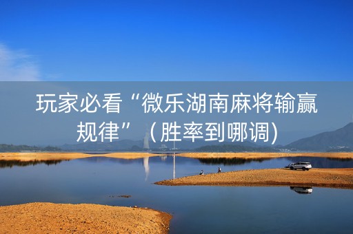 玩家必看“微乐湖南麻将输赢规律”（胜率到哪调)