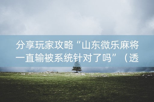 分享玩家攻略“山东微乐麻将一直输被系统针对了吗”（透明器教程)