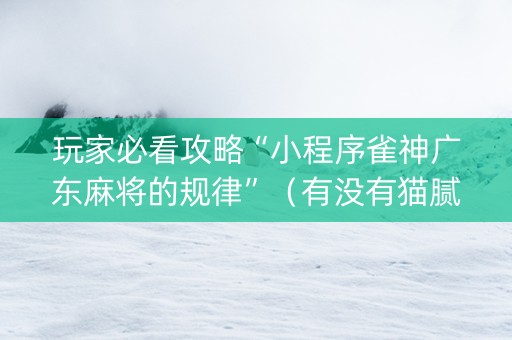 玩家必看攻略“小程序雀神广东麻将的规律”（有没有猫腻)