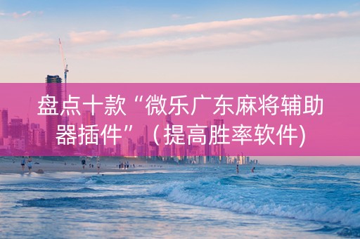 盘点十款“微乐广东麻将辅助器插件”（提高胜率软件)