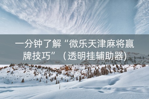 一分钟了解“微乐天津麻将赢牌技巧”（透明挂辅助器)