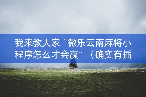 我来教大家“微乐云南麻将小程序怎么才会赢”（确实有插件吗)