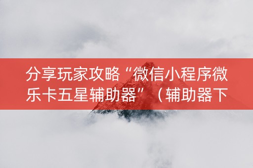 分享玩家攻略“微信小程序微乐卡五星辅助器”（辅助器下载)