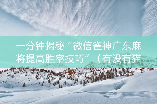 一分钟揭秘“微信雀神广东麻将提高胜率技巧”（有没有猫腻)
